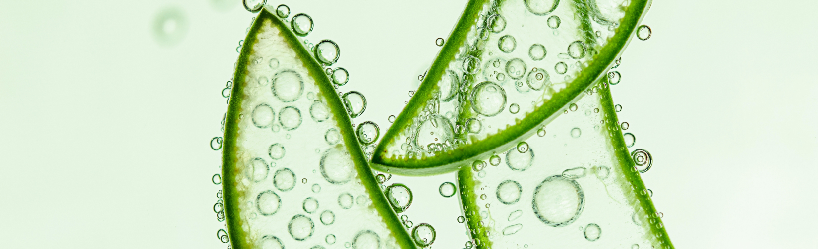 Основные признаки