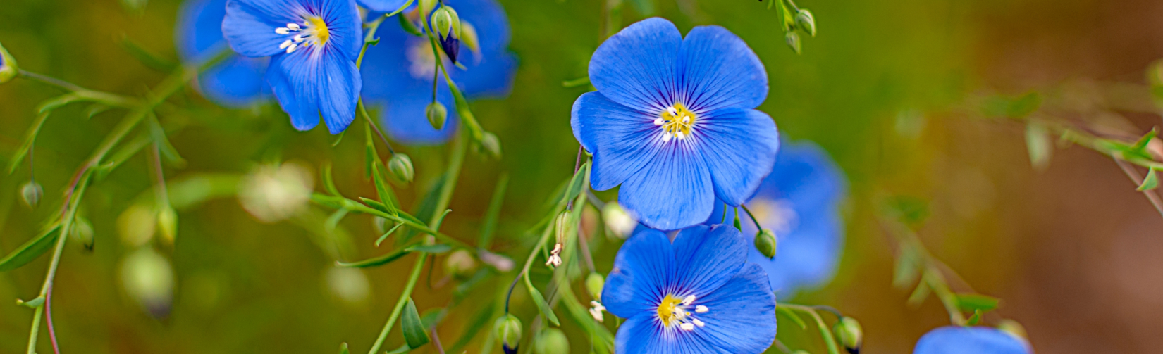 Основные признаки