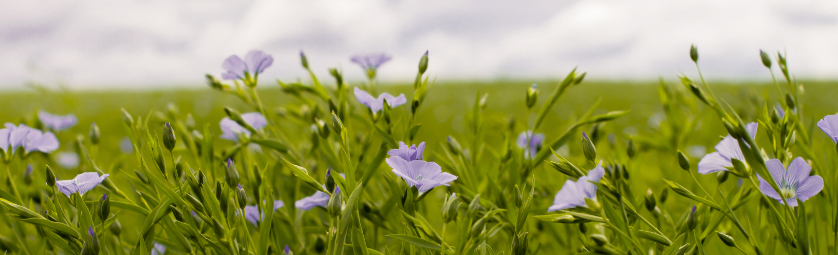 Основные признаки