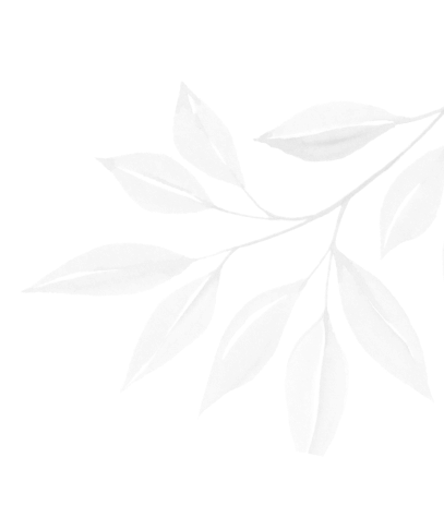 top block branch