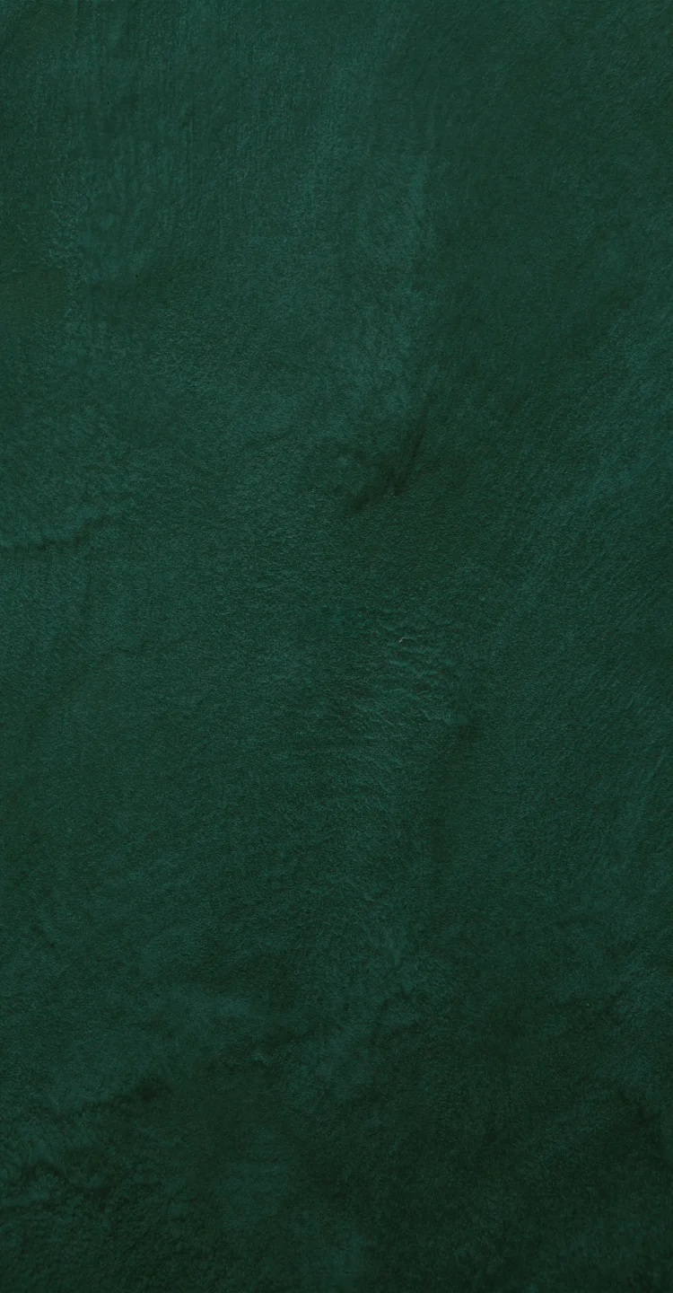 banner title
