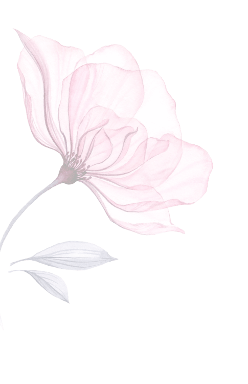 flower pink
