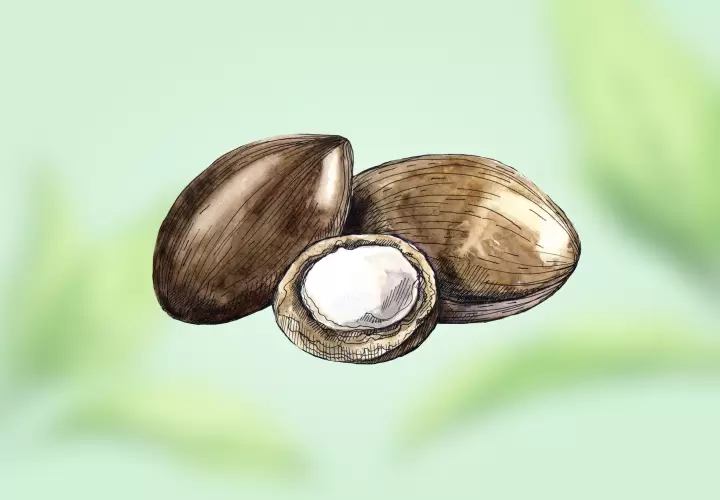 Картинка Масло Ши