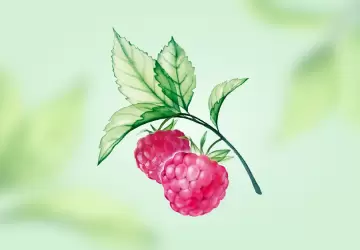 Картинка Сок малины