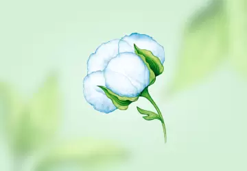 Картинка Хлопковое молочко