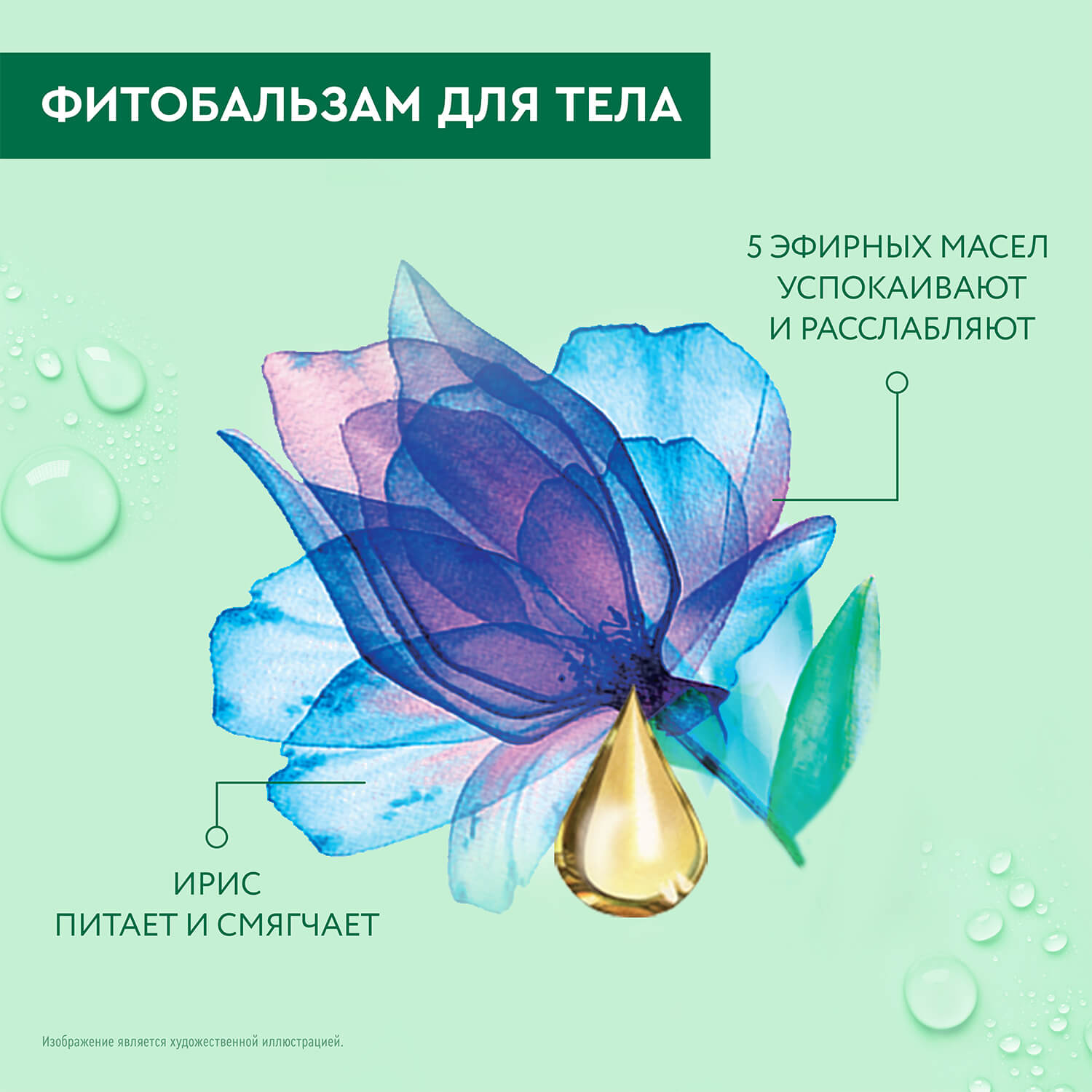 С„РѕС‚Рѕ С‚РѕРІР°СЂР°